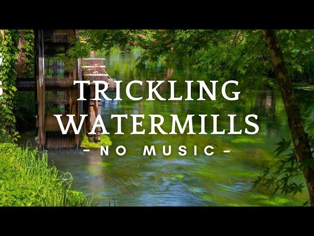 10 Hours - The Sound of a Peaceful Watermill to Help You Relax