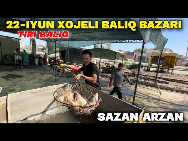 22-ИЮНЬ ХОЖЕЛИ БАЛЫК БАЗАРЫ ТИРИ БАЛЫК КАНША