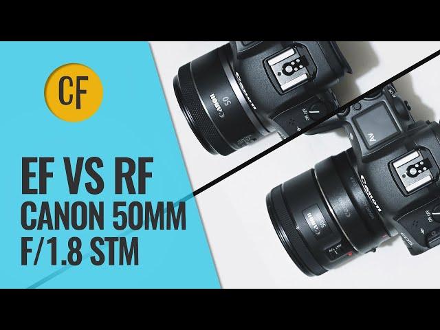 Canon RF vs EF | 50mm f/1.8 STM Lens Challenge!