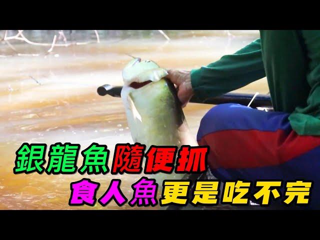 銀龍魚隨便抓，食人魚更是吃不完，土著人讓你知道什麼叫資源豐富《活在當下》