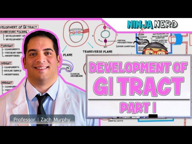 Gastrointestinal | Development & Embryology of the GI Tract: Part 1