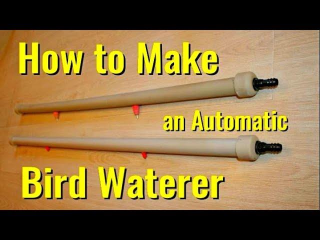 How to make an automatic bird watering system.