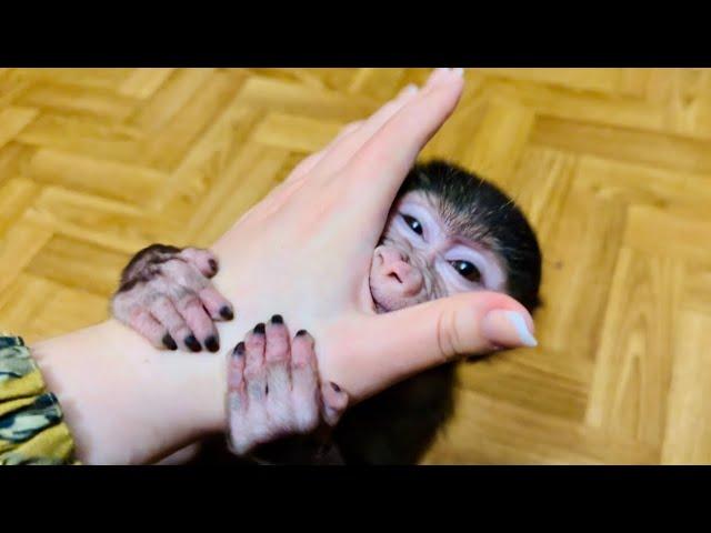 Анфиса НАПАКОСТИЛА и я ее НАКАЗАЛА!