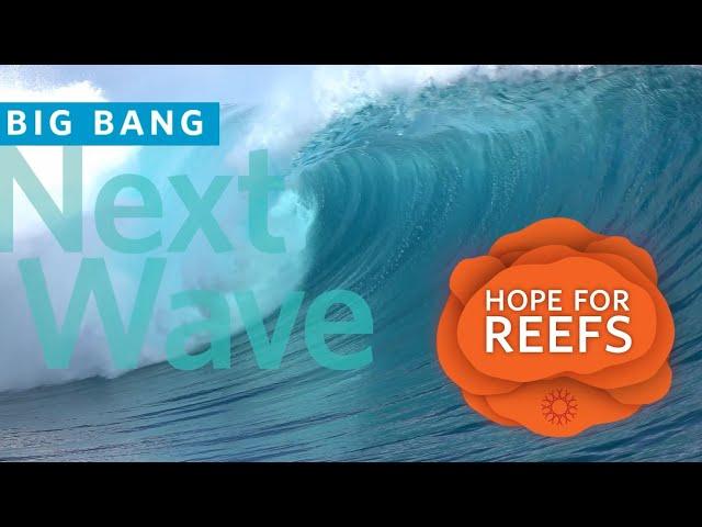 2022 Big Bang Gala Highlights | California Academy of Sciences