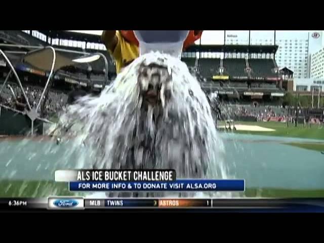 Shawn Kelley and others take the ALS Ice Bucket Challenge