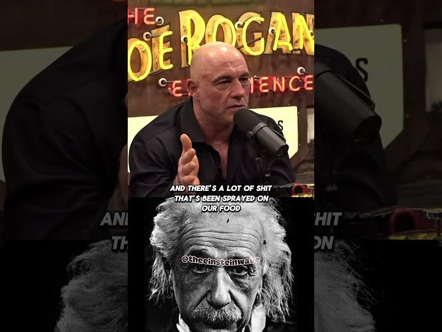 Joe Rogan and Donald Trump discuss the health crisis in America #joerogan #donaldtrump