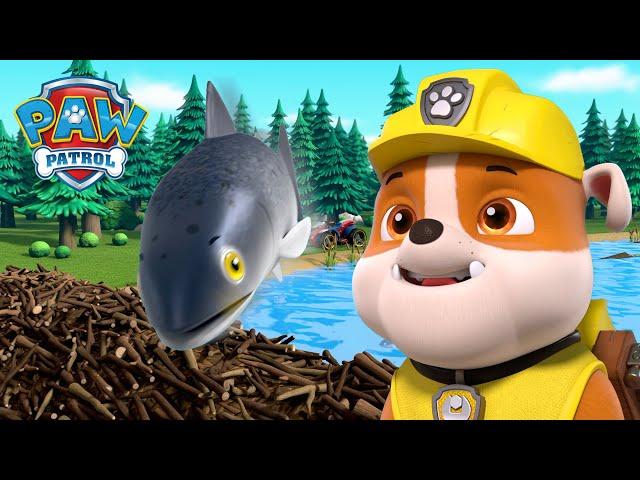 狗狗們協助魚兒越過海狸壩！- PAW Patrol 汪汪隊立大功 - 兒童卡通