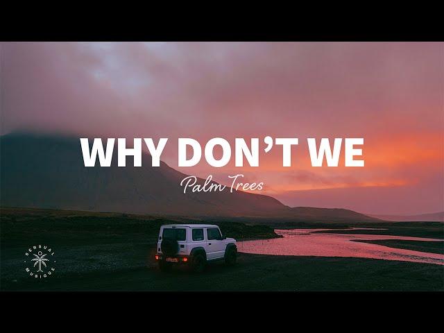 Palm Trees - Why Don't We (Lyrics)