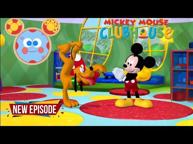 Mickey Mouse Club House : Plutos Best