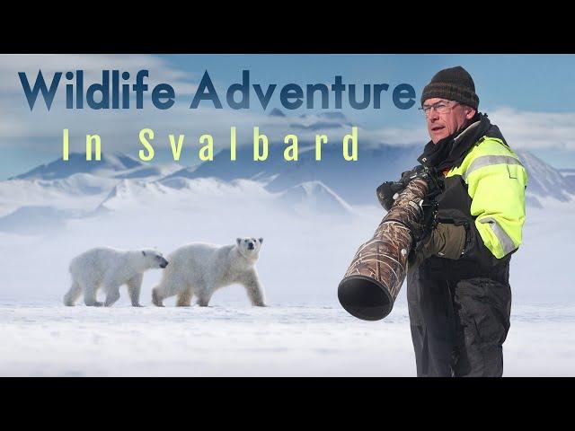 Mind blown by up close wildlife photography encounters in Svalbard!