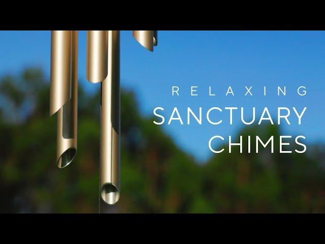 The Most Beautiful Wind Chimes + Peaceful Forest Sounds (Sanctuary Chimes)