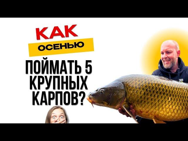 ОГРОМНЫЕ КАРПЫ не ДАЮТ СПАТЬ! НОВЫЙ РЕКОРД и ПОБЕДА на ТУРНИРЕ по пяти КРУПНЫМ РЫБАМ!