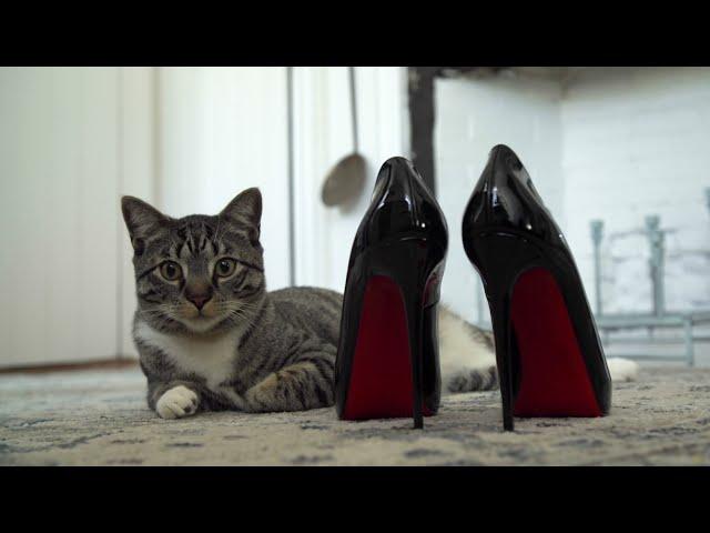 Tale of a Diva Cat & Leo’s Loo by Casa Leo (previously Smarty Pear)
