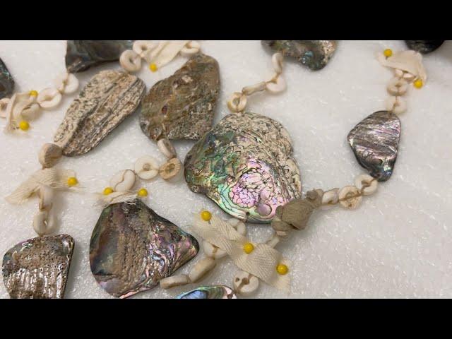 Abalone: A Cultural Keystone Species | California Academy of Sciences
