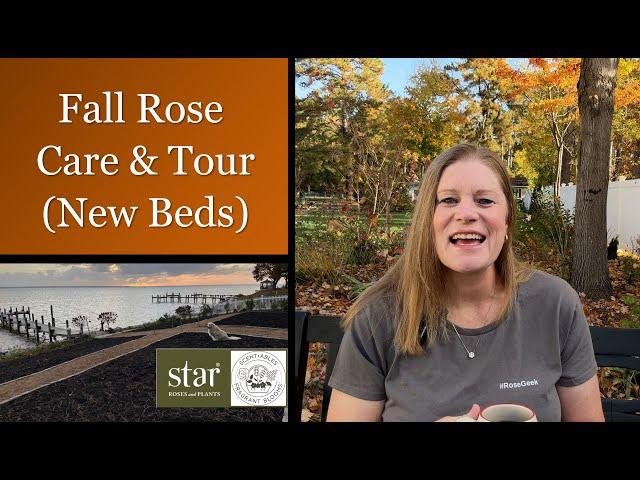  Fall Rose Care / Tour New Scentables™ Beds for Next Year