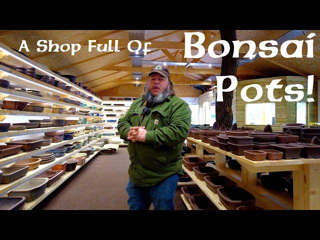 A Shop Full of Bonsai Pots! - Greenwood Bonsai