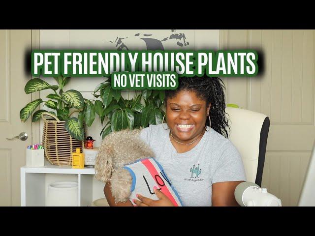 Pet Friendly Indoor House Plants!