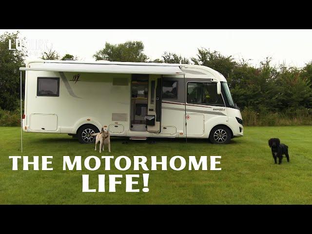 Dogs and Motorhomes | Million Pound Motorhomes! | Luxury Living