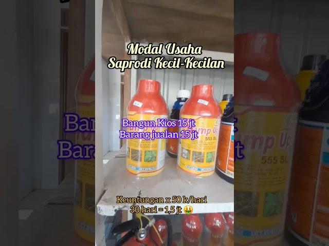 Modal Merintis Usaha Saprodi pertanian di desa #pertanian  #padi  #agriculture #berasmahal