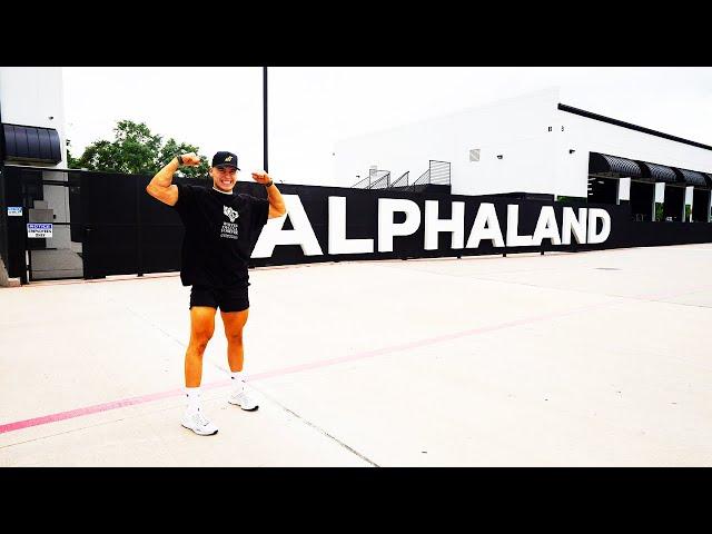 IS ALPHALAND GOOD??? (ALPHALAND REVIEW!!!)