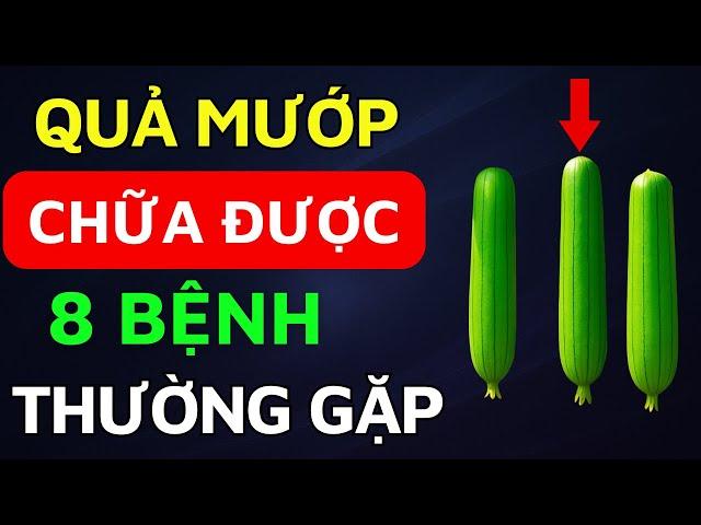 Quả Mướp Chữa 8 Bệnh Thường Gặp Ở Người Già – Ai Cũng Nên Biết!