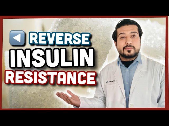 Insulin Resistance Improvement | What to Do?