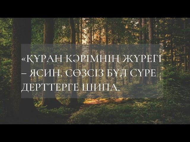 Құран Кәрім. Ясин сүресі - ауруға шипа.