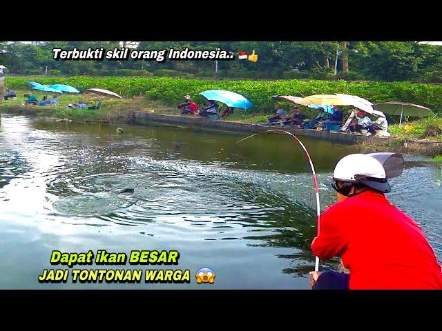 Heboh..!mancing ikan nila liar dapat besar jadi tontonan warga