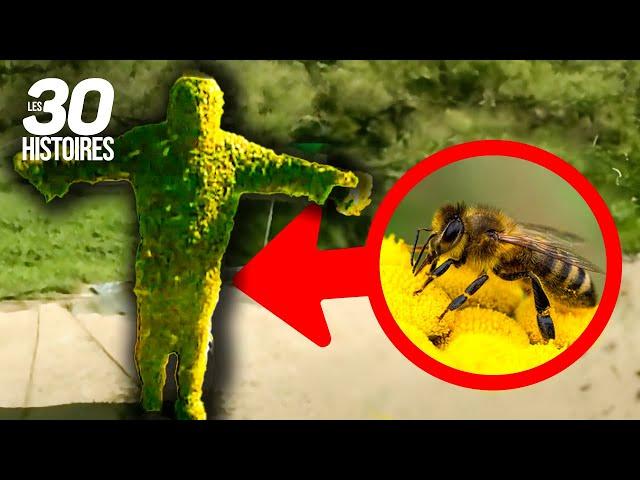 200 000 abeilles recouvrent son corps  - Les histoires insolites