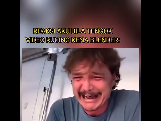 REAKSI AKU BILA TENGOK VIDEO KUCING KENA BLENDER