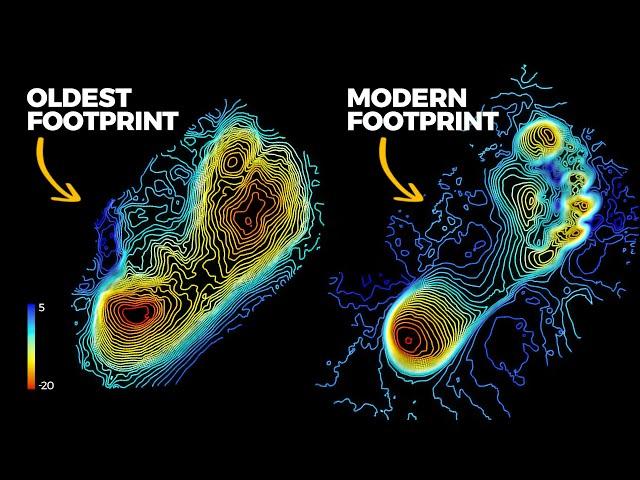 The Secrets of the Oldest Footprints Ever Found