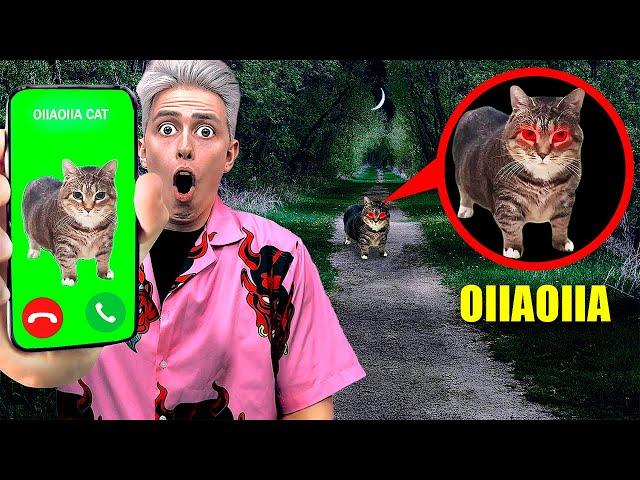 NEVER CALL OIIAOIIA CAT AT 3:00 AM! cursed cat