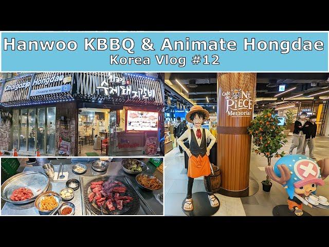 SEOUL VLOG (#12) Anime Shopping in Hongdae | Hanwoo Beef Korean BBQ