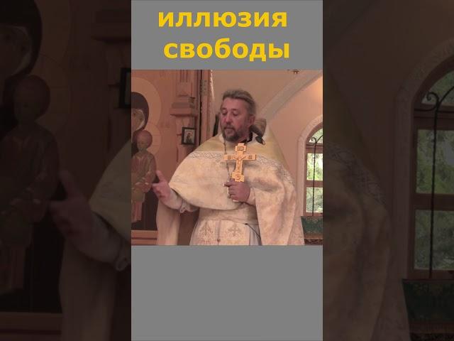 КАКАЯ ЖЕ ЭТО СВОБОДА? Священник Игорь Сильченков.
