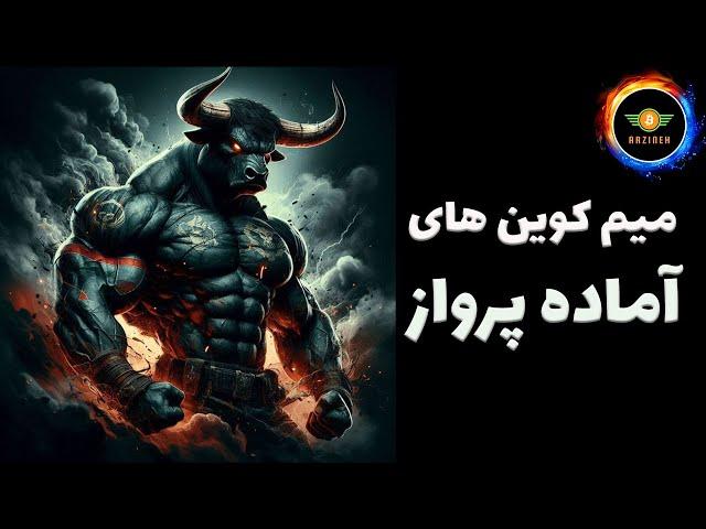 میم کوین های آماده پرواز