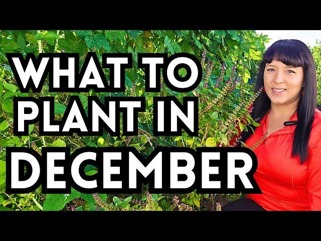 Top 30 Veggies To Plant In December For A Thriving Winter Garden // Garden Planting Inspiration