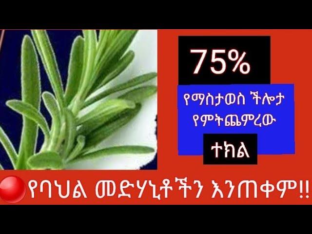 #65 የማስታወስ ችሎታን 75% የምትጨምረው ተክል!(@ethiotube3882 (Dropship | Gmail )