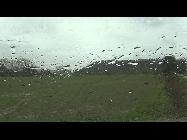 Orkan Friederike 4  / European windstorm Friederike 4 