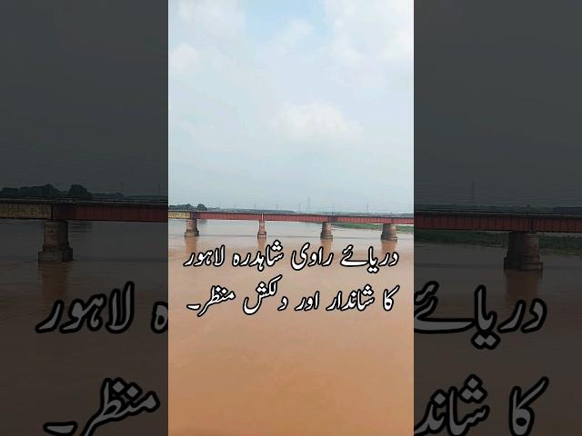 Ravi River Lahore #shorts #shortsfeed #youtubeshorts #River #trending #shortsfeed