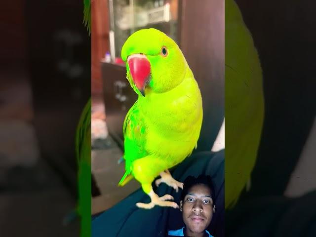 https://youtube.com/shorts/Pe6aGmC7630?si=Zkl64bqXRSMVgr