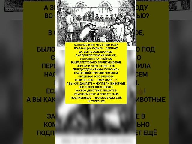 ВО ФРАНЦИИ СУДИЛИ СВИНЬЮ! История и интересные факты. #история #факты #познавательно