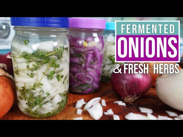 FERMENTED ONIONS - Delicious & Easy Recipe with a unique probiotic profile