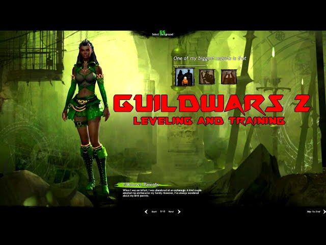 Guildwars 2 Gameplay - Leveling up & Training