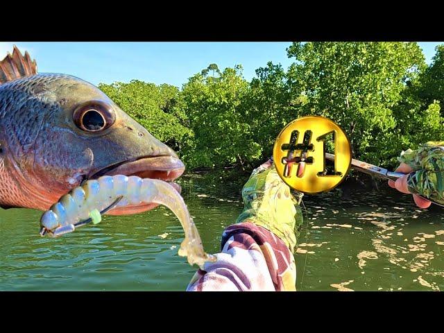 The Best Lure Hack for Fishing Mangroves