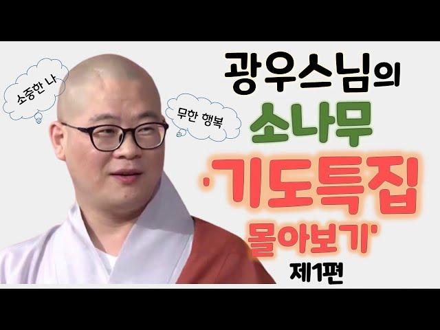 광우스님의 소나무 '기도특집 몰아보기' 제1편 #3시간30분