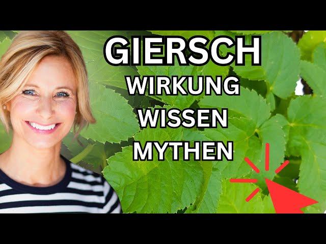 Giersch Wirkung, Wissen & Mythen 