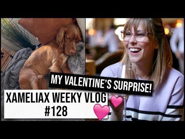 My Valentine's Day Surprise! | xameliax Weekly Vlog #128