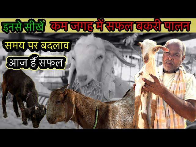 कम खर्चे में सफल बकरी पालन कैसे करें | Bakri palan ka sahi tarika | Rooftop Goat Farm