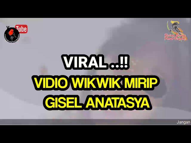 VIRAL..!! VIDIO WIKWIK MIRIP GISEL ANATASYA.