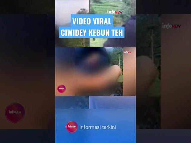 VIDEO VIRAL CIWIDEY KEBUN TEH #short